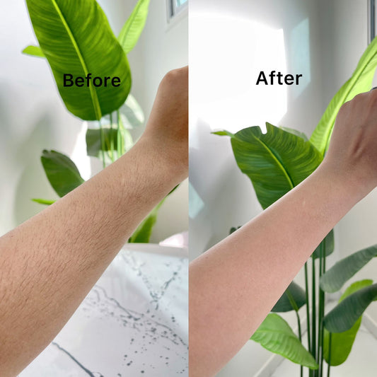 Aloe Vera Wax Bundle (Essential)